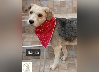 Sansa – der Neuanfang steht ihr einfach gut!