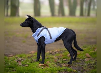 Aron❤️menschenverliebter Jungspund