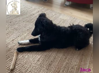 Jaca – unsere Herzensbrecherin♥️