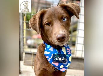 Sara – ein Blick, ein Statement, jede Menge Wow!