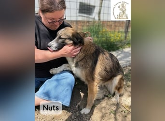 Nuts – manche Seelen tragen ihren Zauber ganz leise!