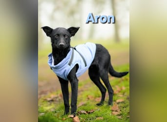 Aron❤️menschenverliebter Jungspund