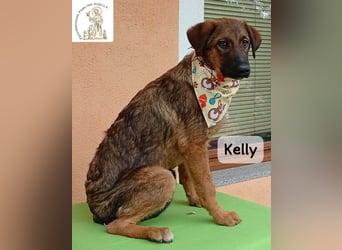 Kelly – Das Leben beginnt dort, wo Neugier auf Vertrauen trifft!