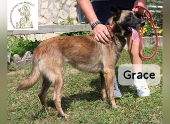 Grace – Köpfchen, Power und definitiv Pfeffer im Hintern!