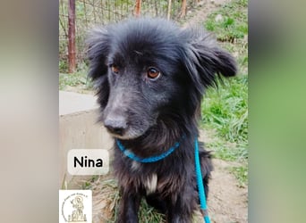 Nina – ein Platz zum Durchatmen gesucht!