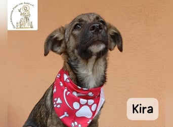 Kira – Warum nicht heute glücklich werden!