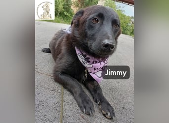 Jimmy – Aufgeben? Kam für ihn nie infrage!