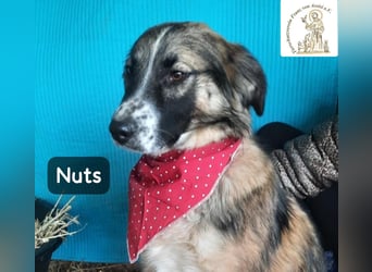 Nuts – leise beginnen, gemeinsam stärker werden!