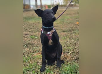 Aron❤️menschenverliebter Jungspund