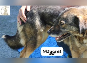 Maggret – ruhig, feinfühlig, zauberhaft und ein bisschen Magie auf vier Pfoten!