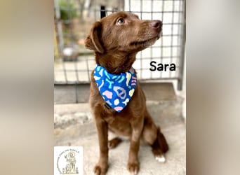 Sara – ein Blick, ein Statement, jede Menge Wow!