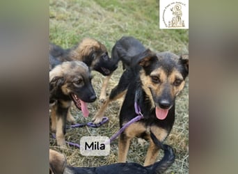Mila – Heldinnen können auch manchmal ganz klein sein!