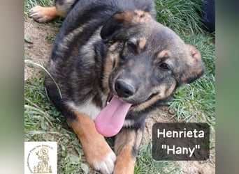 Hany – neugierig, frech und unwiderstehlich!