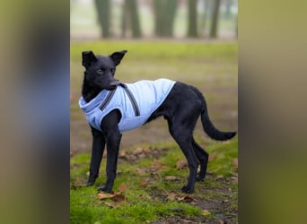 Aron❤️menschenverliebter Jungspund