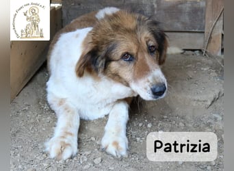 Patrizia – Glück bedeutet manchmal einfach, zusammen zu sein!