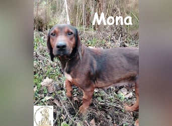 Mama Mona – sucht nicht irgendwen, sie sucht ihr Für-immer!