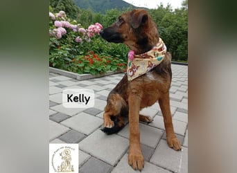 Kelly – Das Leben beginnt dort, wo Neugier auf Vertrauen trifft!