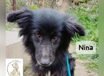 Nina – ein Platz zum Durchatmen gesucht!