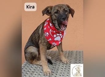 Kira – Warum nicht heute glücklich werden!