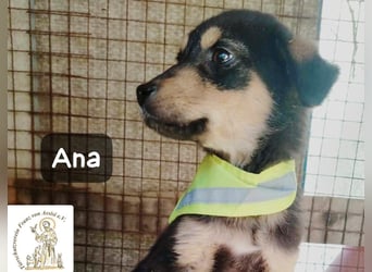 Ana – kleines Mädchen, große Pläne!