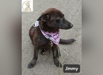 Jimmy – Aufgeben? Kam für ihn nie infrage!