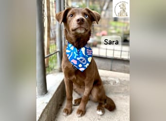 Sara – ein Blick, ein Statement, jede Menge Wow!