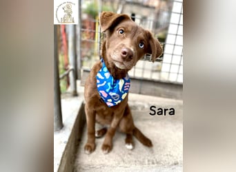 Sara – ein Blick, ein Statement, jede Menge Wow!