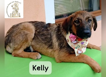 Kelly – Das Leben beginnt dort, wo Neugier auf Vertrauen trifft!
