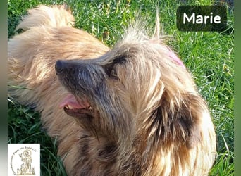 Marie – zu süß für diese Welt, aber kein bisschen aus Zucker!