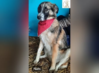 Nuts – leise beginnen, gemeinsam stärker werden!