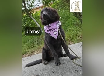 Jimmy – Aufgeben? Kam für ihn nie infrage!