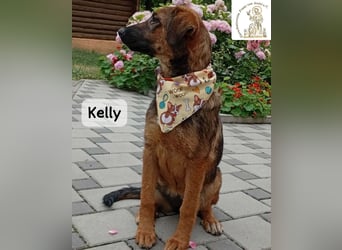 Kelly – Das Leben beginnt dort, wo Neugier auf Vertrauen trifft!