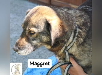 Maggret – ruhig, feinfühlig, zauberhaft und ein bisschen Magie auf vier Pfoten!