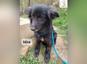 Nina – ein Platz zum Durchatmen gesucht!