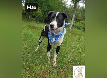 Max – seine zweite Chance auf ein wundervolles Leben!