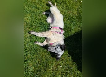 Katja – Zaubermaus bereit für die eigene Familie!