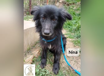 Nina – ein Platz zum Durchatmen gesucht!