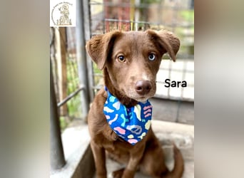 Sara – ein Blick, ein Statement, jede Menge Wow!