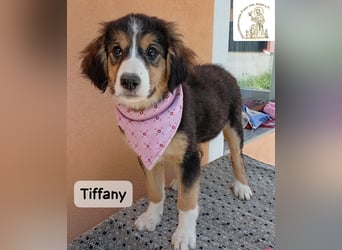 Tiffany – Man ist nie zu klein, um für jemanden die ganze Welt zu sein!