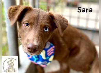 Sara – ein Blick, ein Statement, jede Menge Wow!