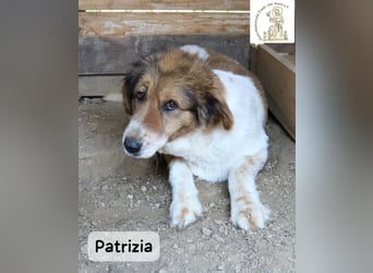 Patrizia – Glück bedeutet manchmal einfach, zusammen zu sein!