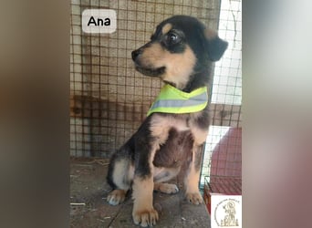 Ana – kleines Mädchen, große Pläne!