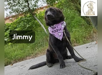 Jimmy – Aufgeben? Kam für ihn nie infrage!