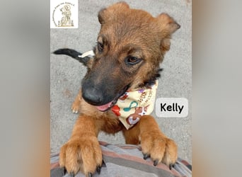 Kelly – Das Leben beginnt dort, wo Neugier auf Vertrauen trifft!