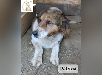 Patrizia – Glück bedeutet manchmal einfach, zusammen zu sein!