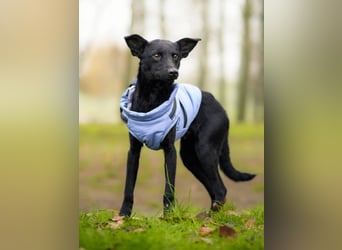 Aron❤️menschenverliebter Jungspund