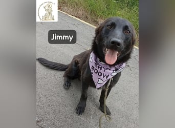 Jimmy – Aufgeben? Kam für ihn nie infrage!