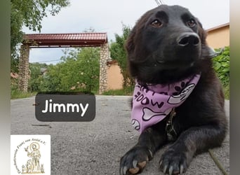 Jimmy – Aufgeben? Kam für ihn nie infrage!
