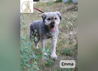 Emma – manche Herzen werden einfach nie alt!