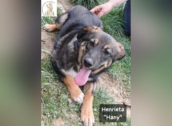 Hany – neugierig, frech und unwiderstehlich!